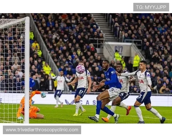 热刺3-0完胜埃弗顿 范德芬头球双响萨尔建功显威